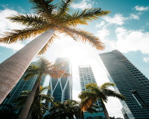 Bright glaring sun reflecting off a glass building in a tropical city